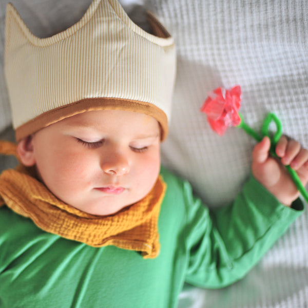 DIY otroški pustni kostum: Rožica za Malega princa